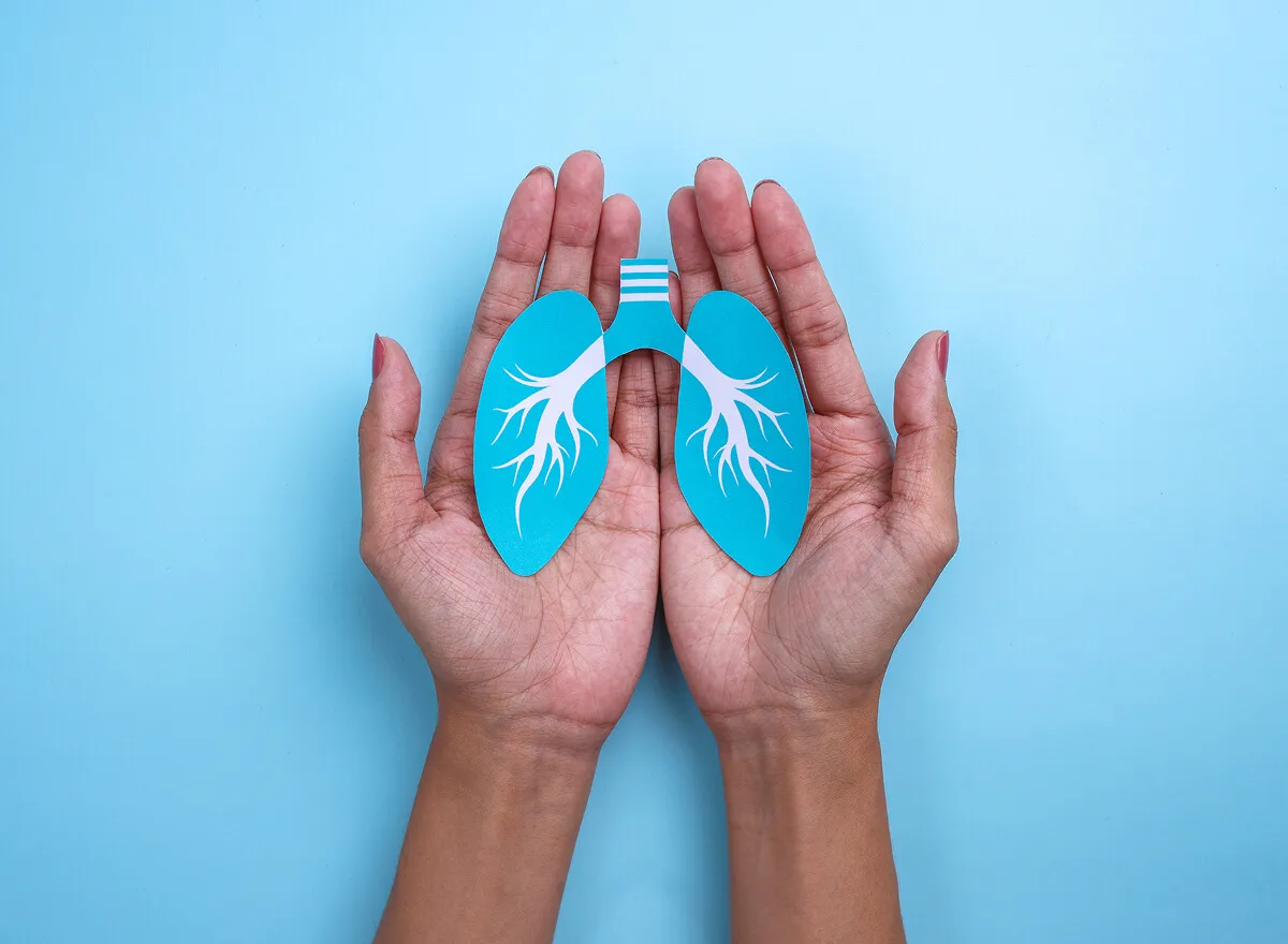 Mãos seguram recorte em papel colorido de pulmões.